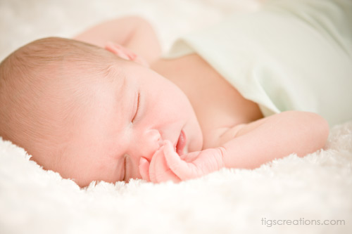 Tigs Creations Photography