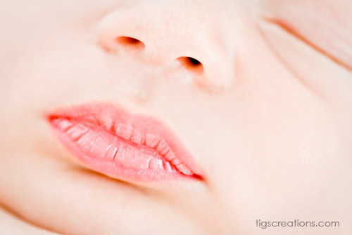 Tigs Creations Photography