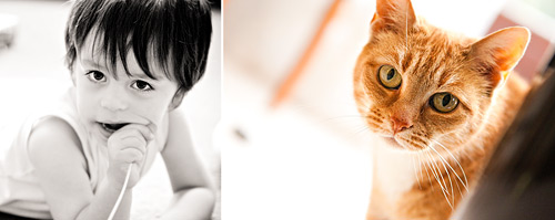 Tigs Creations Photography