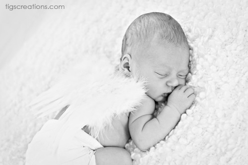 Tigs Creations Photography