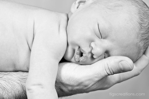 Tigs Creations Photography