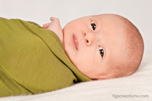 Tigs Creations Photography