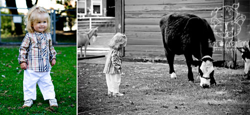 Tigs Creations Photography