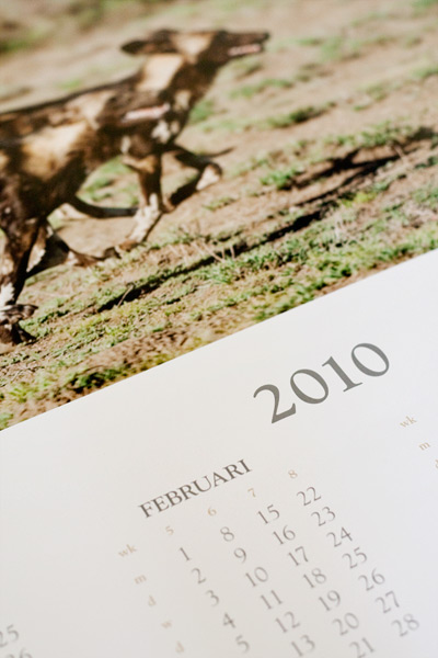 Tigs Creations Photography | zoocrew.eu