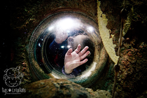 Tigs Creations Photography