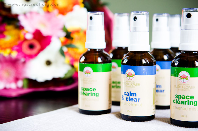 Crave Amsterdam, Big on the Inside - Tigs Creations Photography