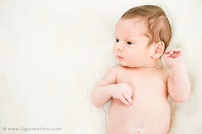 newborn baby boy - Tigs Creations Photography