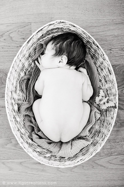 newborn baby girl - Tigs Creations Photography