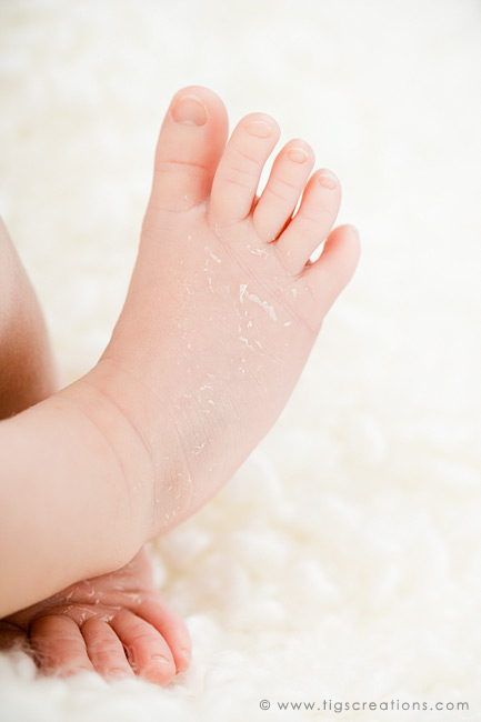 newborn baby boy - Tigs Creations Photography