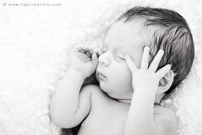 newborn baby boy - Tigs Creations Photography