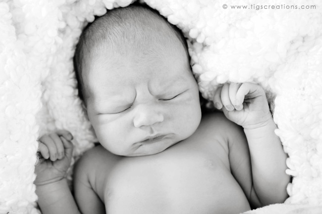 Newborn baby boy - Tigs Creations Photography