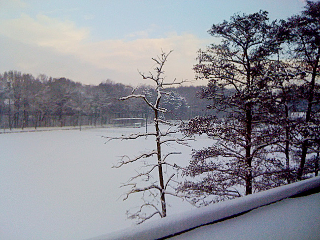 sugar frosted trees and a white knuckle ride in the snow and ice