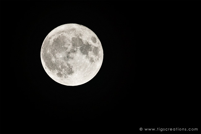 so who else took a photo of last night’s supermoon?