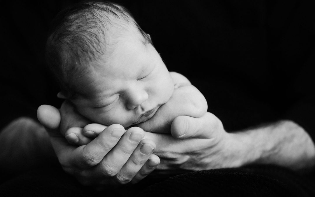 Welcome, Evan! sweet newborn baby boy, 10 days new