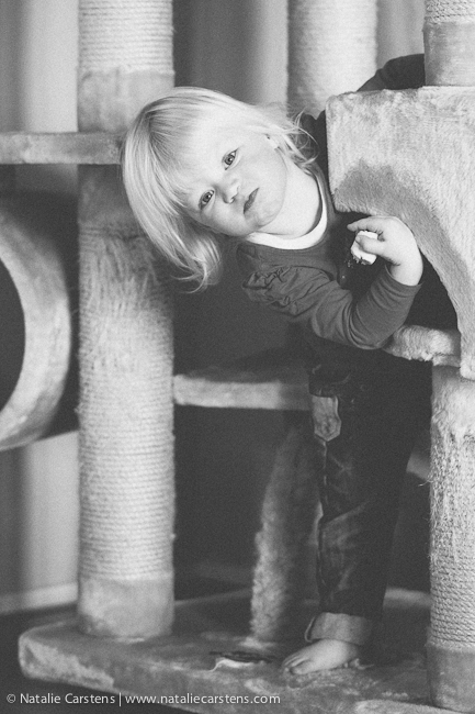 08-impressions-blog-circle