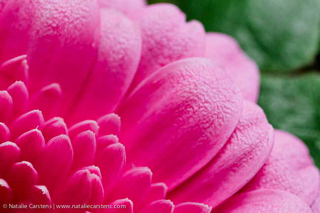 09-impressions-blog-circle