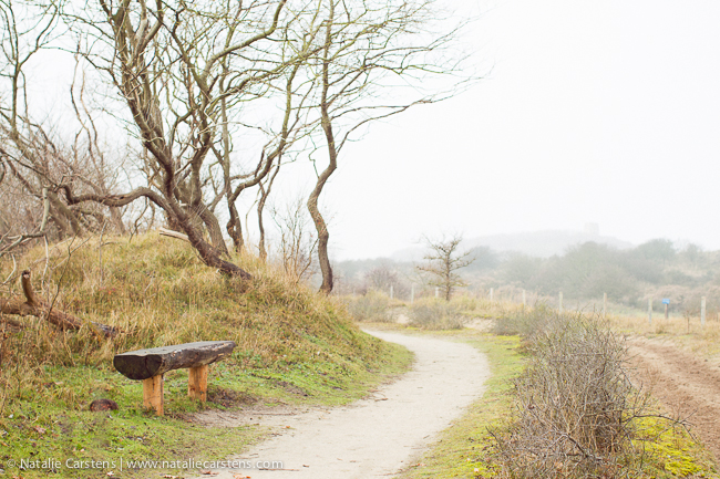 02-impressions-blog-circle