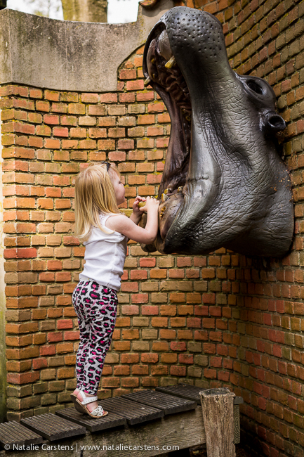 05-impressions-blog-circle