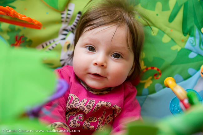 08-impressions-blog-circle