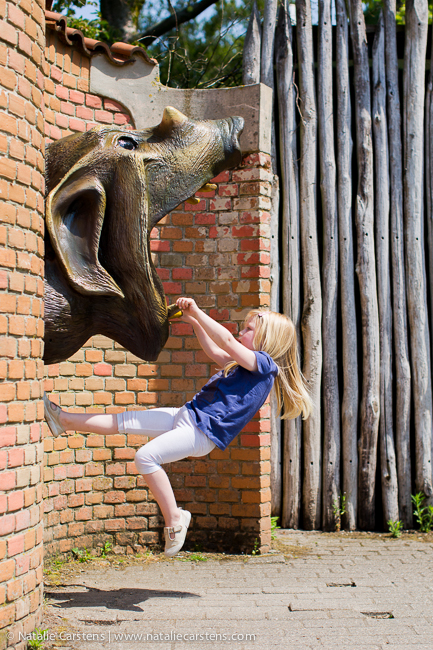 02-impressions-blog-circle