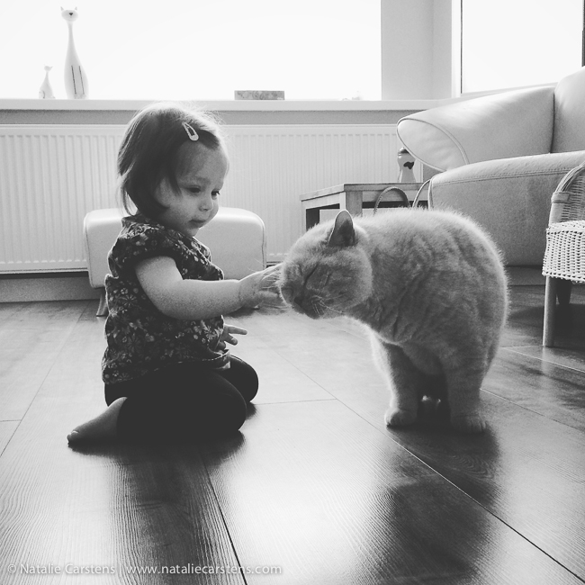 impressions-blog-circle-09-21