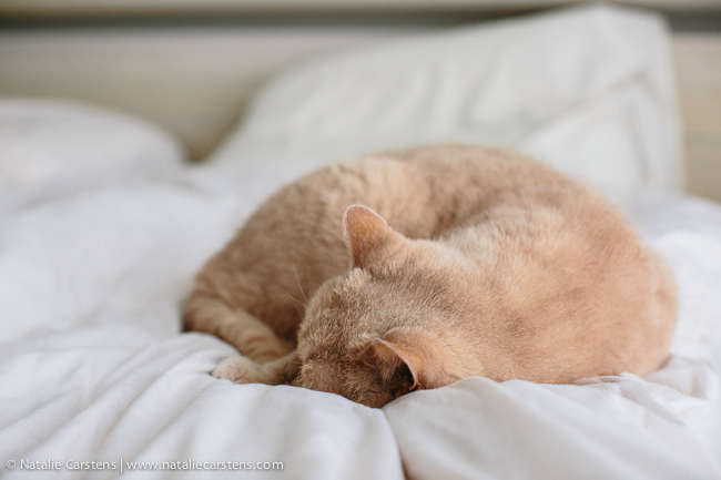 03-impressions-blog-circle-02-15