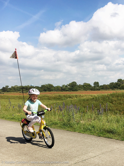 07-impressions-blog-circle07-18